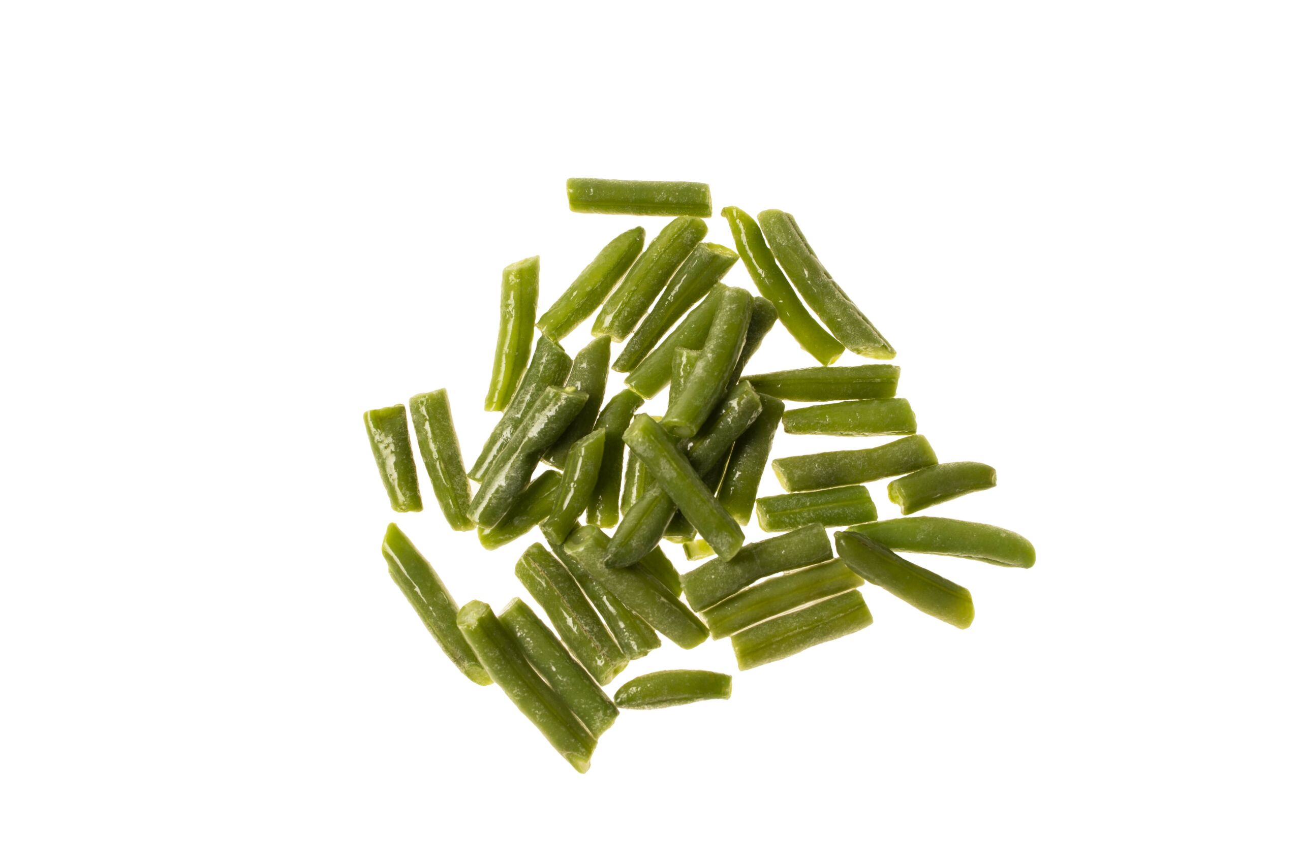 Judia redonda Judia redonda