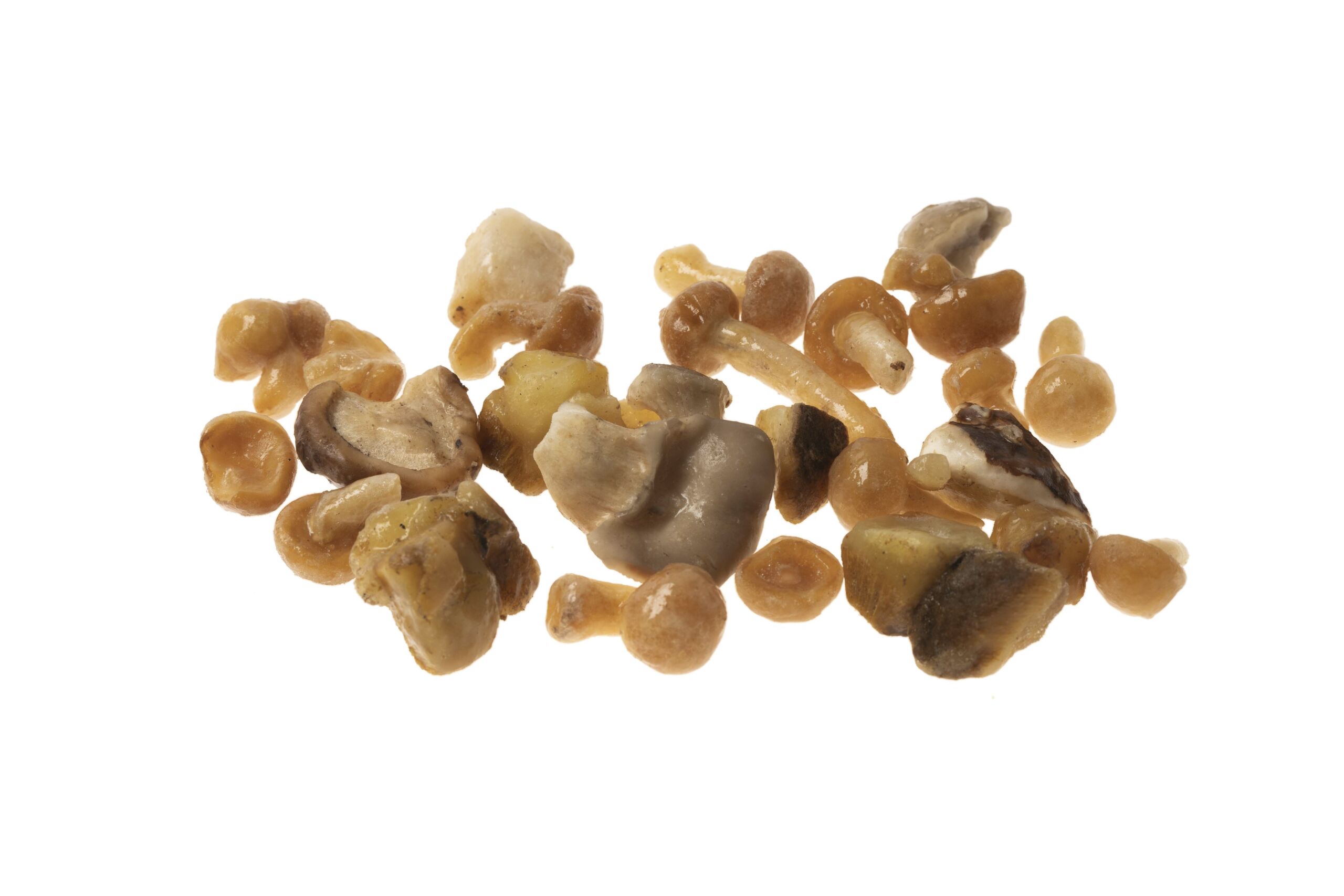 Revuelto de hongos Revuelto de hongos